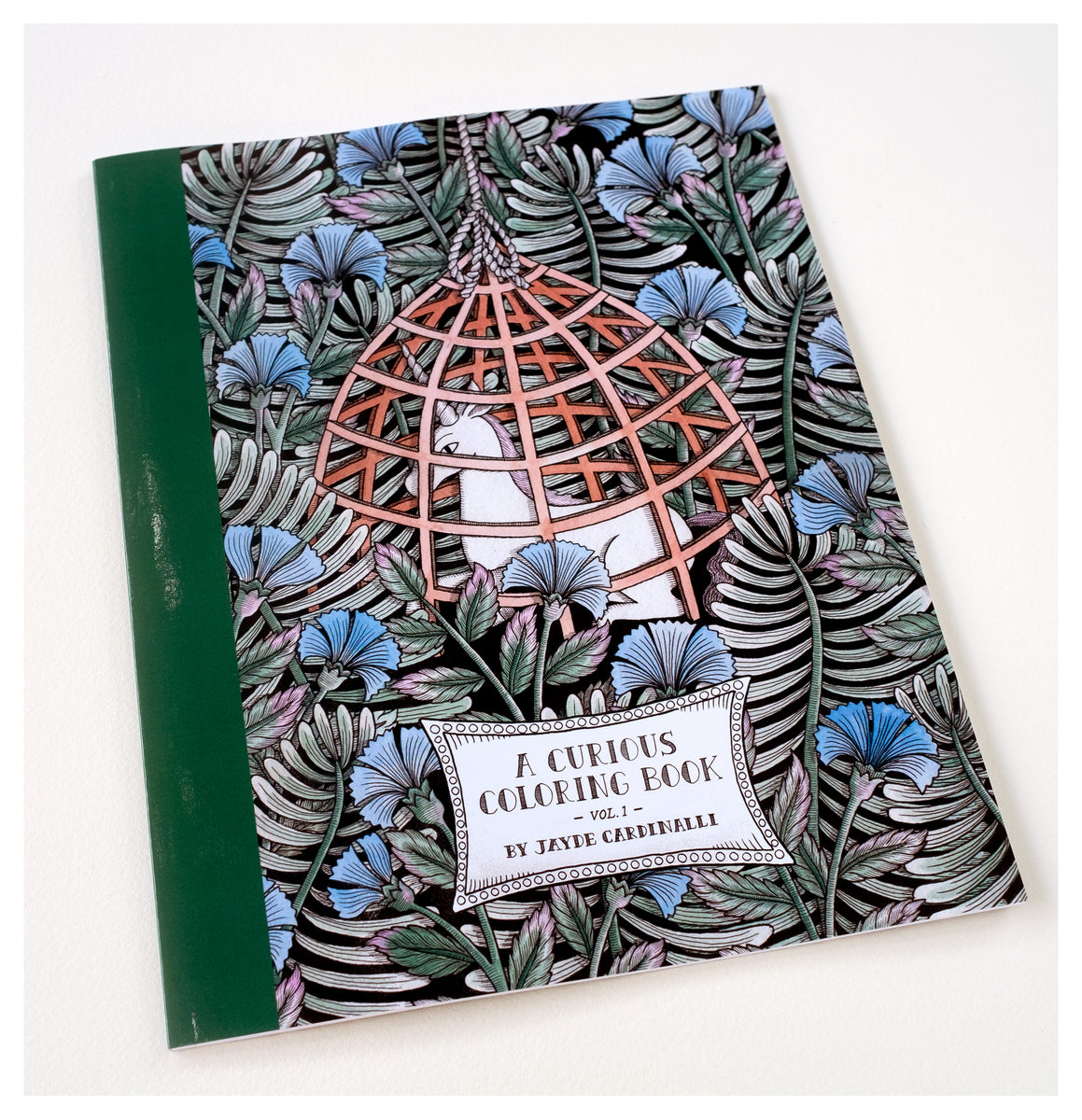 A Curious Coloring Book – Jayde Cardinalli Design